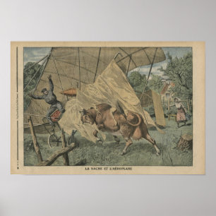 The cow and the aeroplane poster
