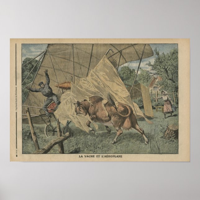 The cow and the aeroplane poster (Front)
