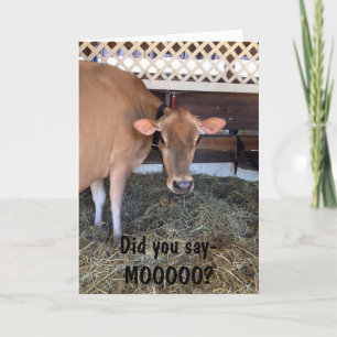 THE COW ASKS "DID U SAY MOO?"/LOVE YOU, TOO CARD