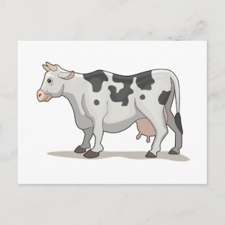 The Cow Postcard