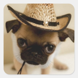 The Cowboy Pug Puppy Square Sticker