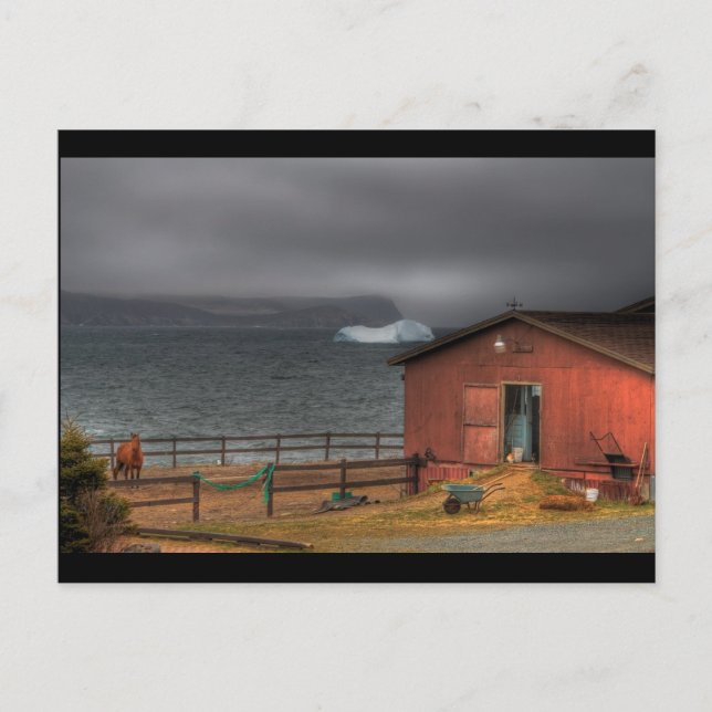 The Cowboy Way Postcard (Front)