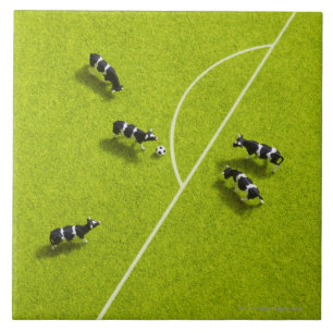 The cows playing soccer ceramic tile