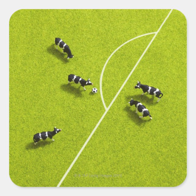 The cows playing soccer square sticker (Front)