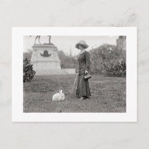 The Crazy Bunny Lady Postcard