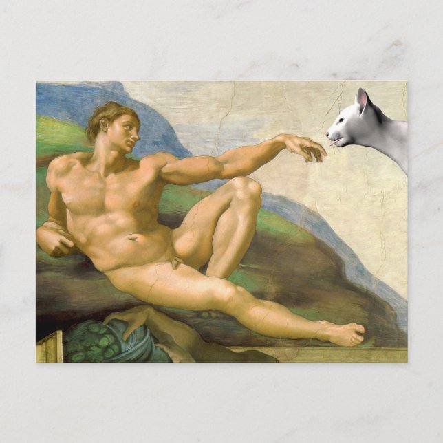 The Creation Of Adam Parody Postcard (Front)