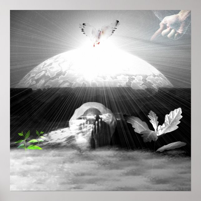 The Creation Poster (Front)