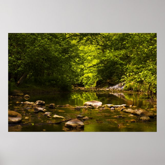 The Creek Poster (Front)