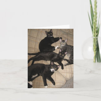 The Crew Blank Note Card