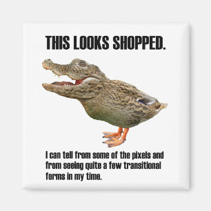 The Crocoduck Deception Magnet