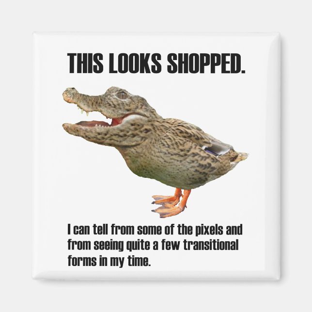 The Crocoduck Deception Magnet (Front)