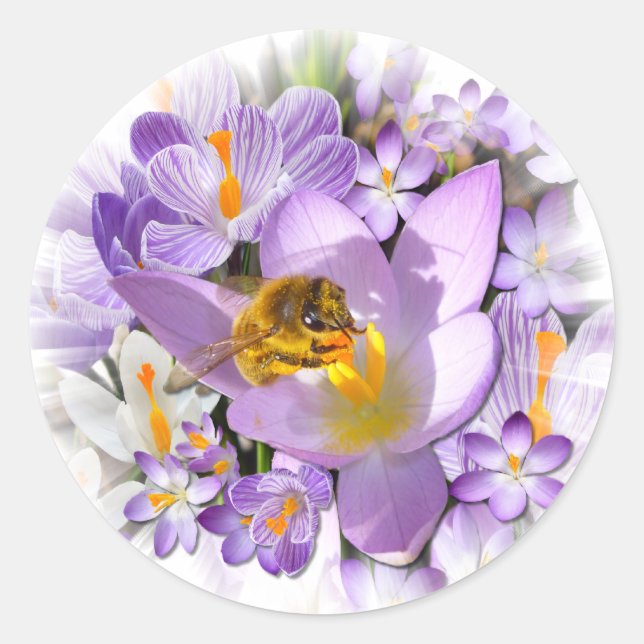 THE CROCUS TASTER ~ Envelope Sealers/Stickers Classic Round Sticker (Front)