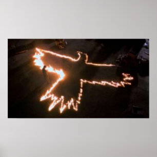 THE CROW  Fire Bird Poster