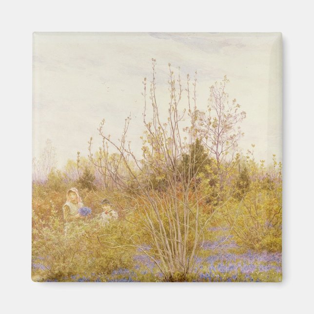 The Cuckoo Magnet (Front)