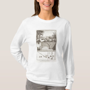 The cultivation of cotton, from the T-Shirt