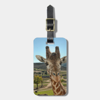 The Curious Giraffe Luggage Tag