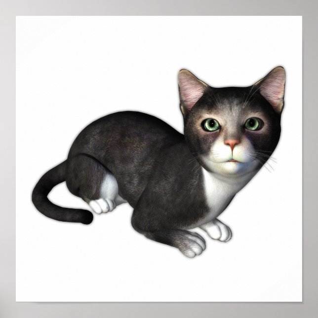 The Curious Grey Kitten Poster (Front)