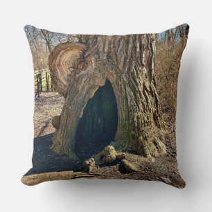 The Curious Hollow Cushion