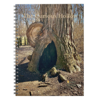 The Curious Hollow  Notebook