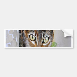 The Curious Tabby Cat Acrylic Painting Bumper Sticker