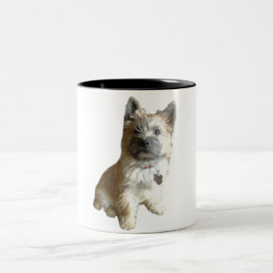 The Cutest Cairn Terrier Ever!  Cuter than Toto! Two-Tone Coffee Mug