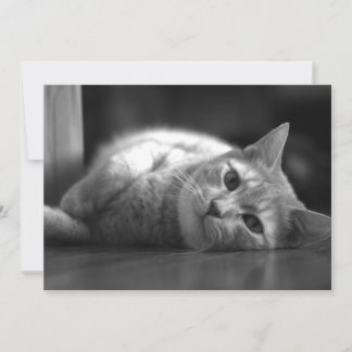 The Cutest Cat Thank You Card