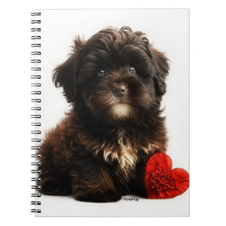 The Cutest Valentine, Chocolate Havanese Puppy Not Notebook