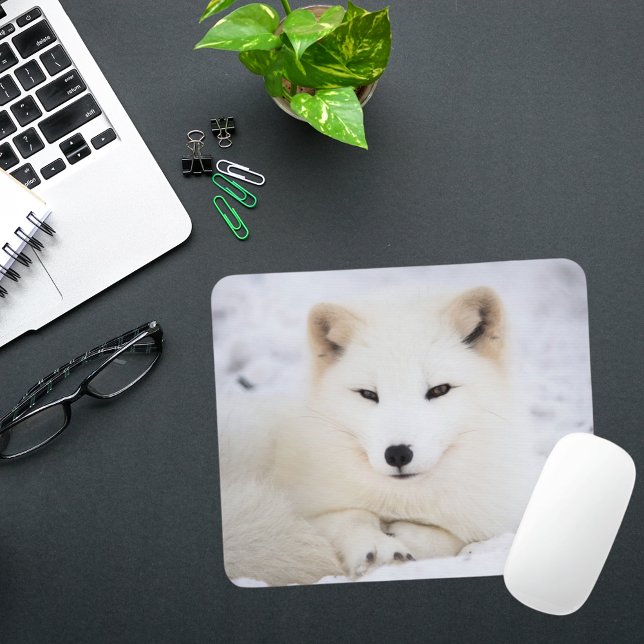 The cutest white polar fox looking at you mouse pad (Creator Uploaded)