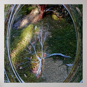 The cycle of Life.... Poster