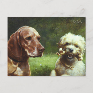 The Cynic & the Philosopher Postcard