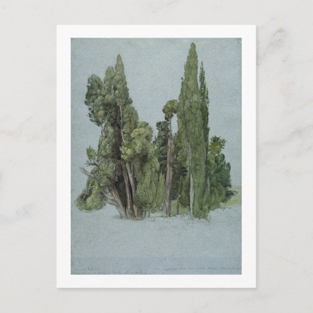 The Cypresses at the Villa d'Este, Tivoli (w/c & g Postcard (Front)