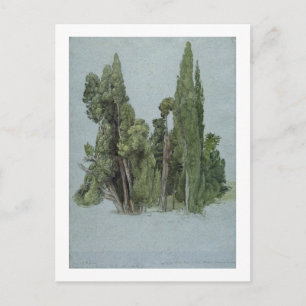 The Cypresses at the Villa d'Este, Tivoli (w/c & g Postcard