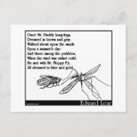 The Daddy Long Legs and the Fly