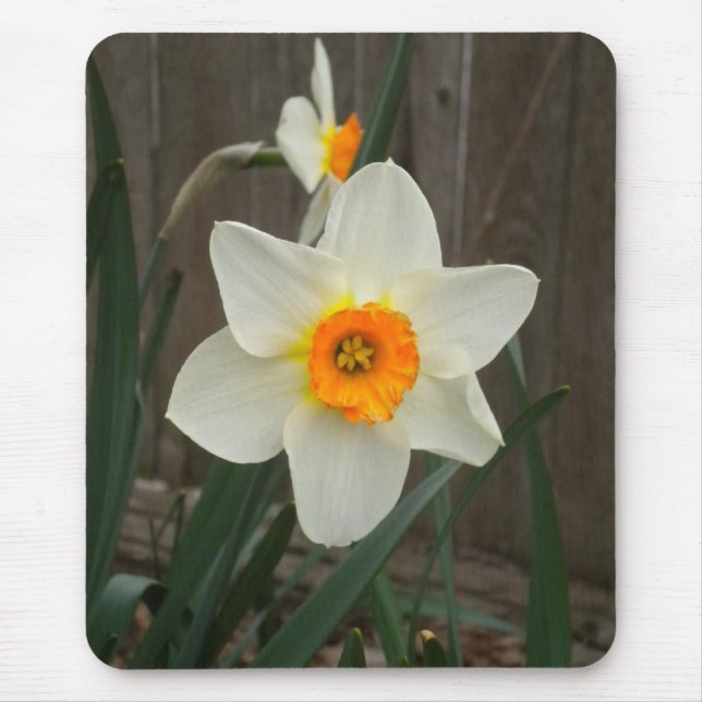 The Daffodil Mouse Pad (Front)