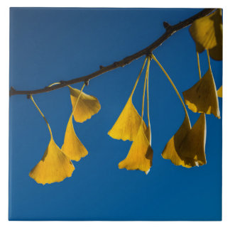 The Dance in the Fall Tile