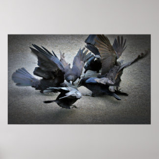 The Dance of the Crows Poster