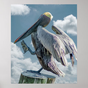 The Dancing Pelican Poster