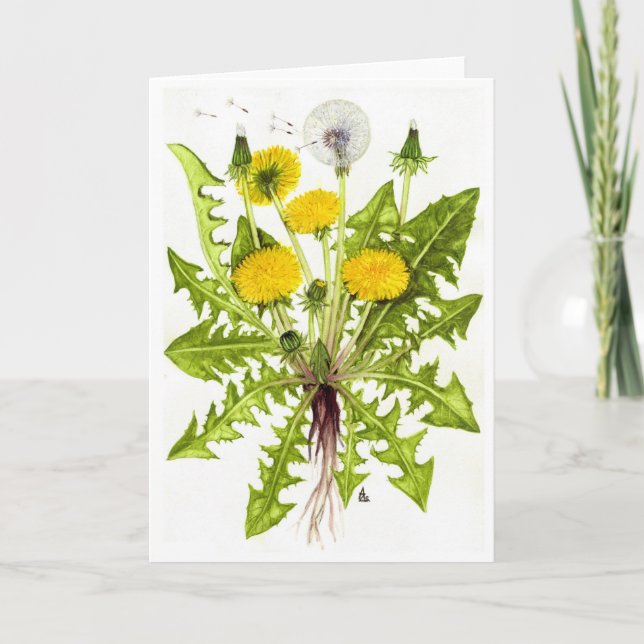 The Dandelion Collection Card (Front)