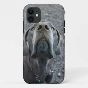 The Dane Nose iPhone 11 Case