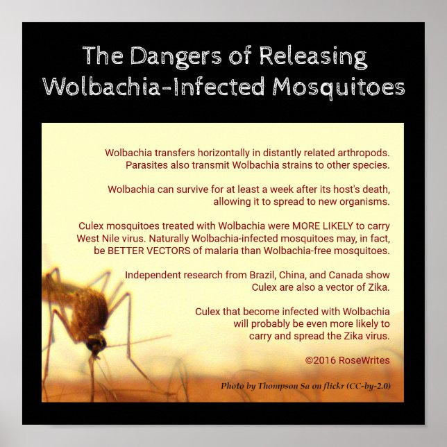 The Dangers of Wolbachia by RoseWrites Poster (Front)