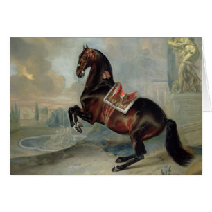 The dark bay horse 'Valido'