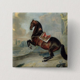 The dark bay horse 'Valido' 15 Cm Square Badge