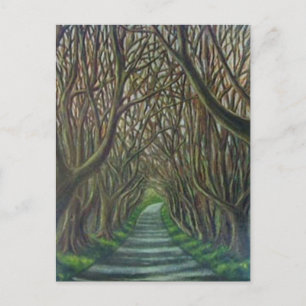 The Dark Hedges Postcard
