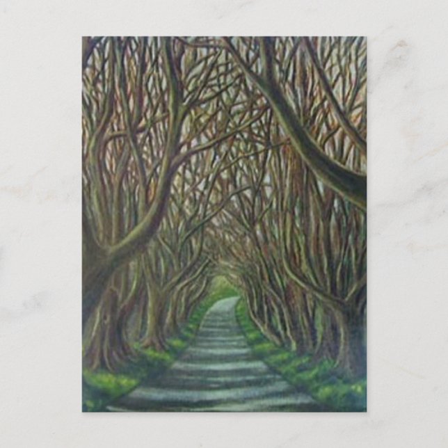 The Dark Hedges Postcard (Front)