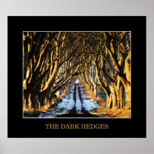 The Dark Hedges Poster