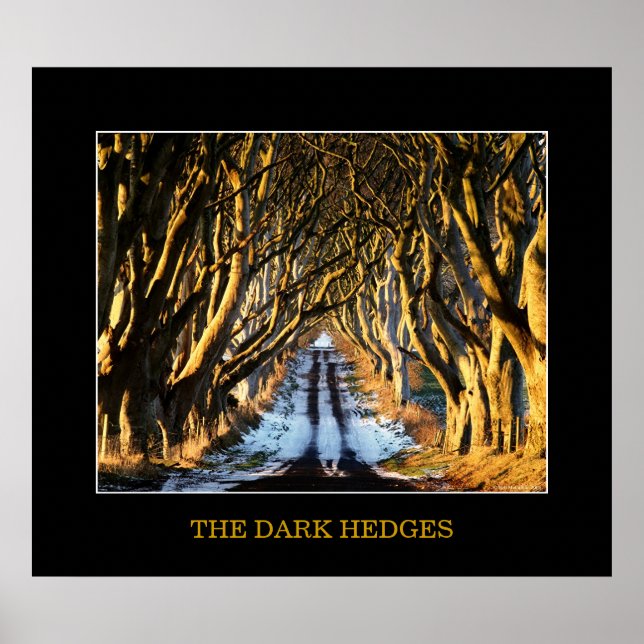The Dark Hedges Poster (Front)