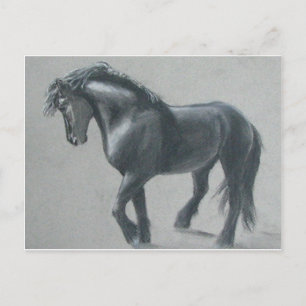 The Dark Horse Postcard