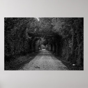 The dark road poster