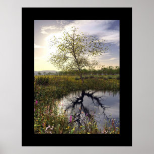 The dark side - Le côté obscur Poster