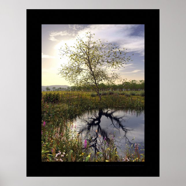 The dark side - Le côté obscur Poster (Front)